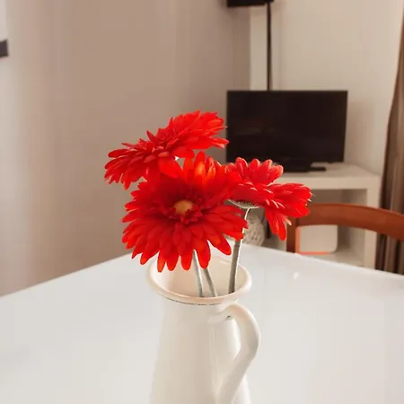 Mecenate Dreams Apartment Rome