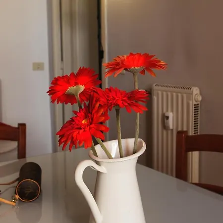 Mecenate Dreams Apartment